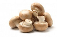 Mushrooms Package